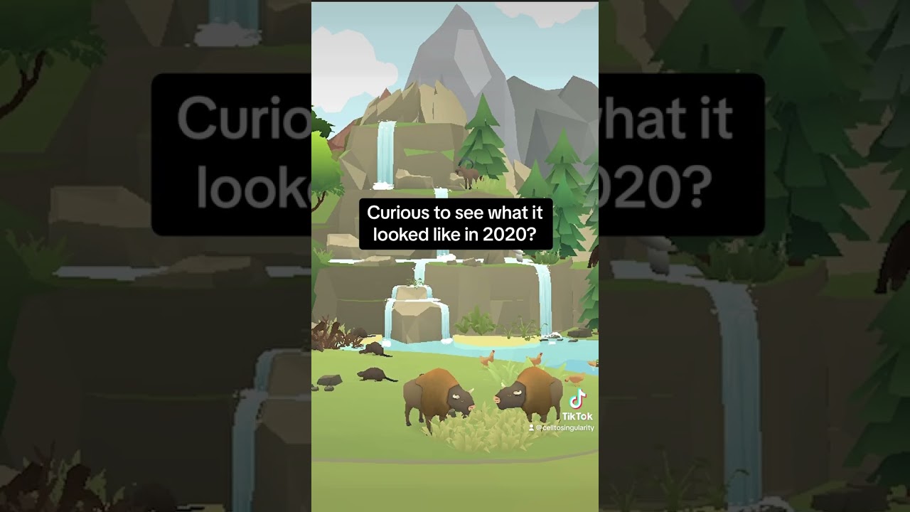 Before VS After - Cell To Singularity