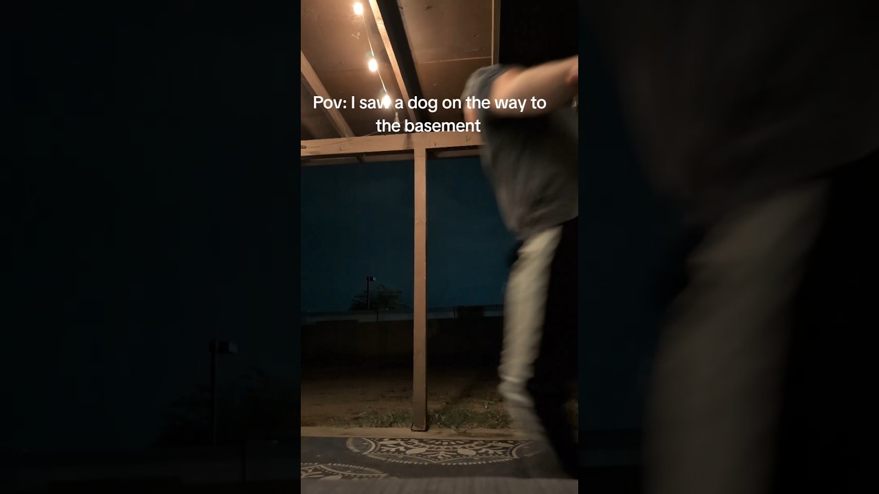 Weapons But I Saw A Dog