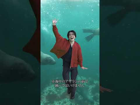 【森本慎太郎】SixTONES「CREAK」好きな背景を入れてみました #森本慎太郎 #SixTONES #CREAK #SixTONES_CREAK #Shorts