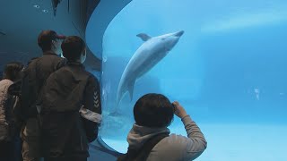 水槽から水が… “老朽化”に直面する名古屋港水族館 改修計画が｢予期せぬ事態に｣ 整備費膨らみ200億円 財源確保のため入館料見直す意見も