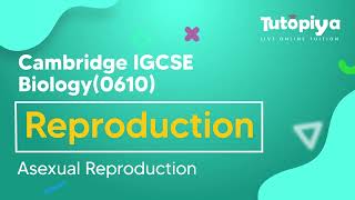Asexual Reproduction