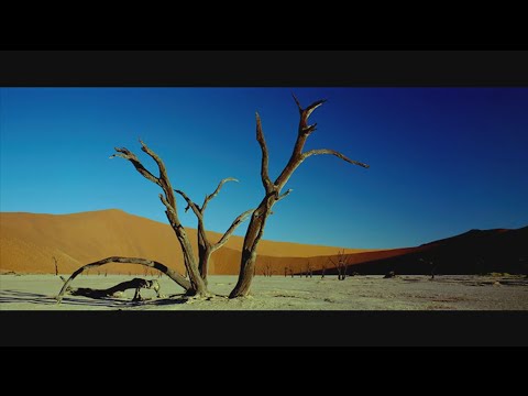 Kapazunda - Dreamers of Dreams