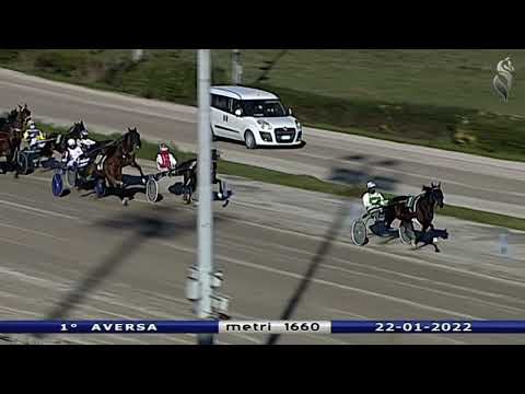 Aversa trotto 22 Gennaio 2022 - 1° Corsa