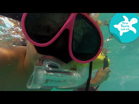 Mit Schildkröten schwimmen | Mein Bruder und ich in der Karibik | SWR Kindernetz