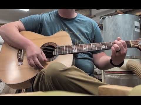Van Gundy Customs The Spring Falcate Braced Acoustic Guitar image 7