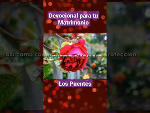 Devocional para Matrimonios- Los Puentes #shorts #restauracionmatrimonial #restaurandotumatrimonio