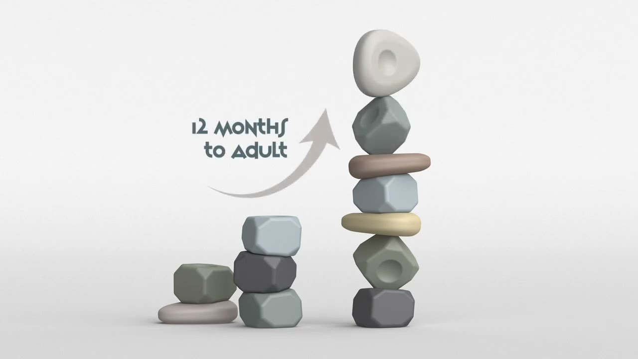 TaksaToys Resources® Stack Master