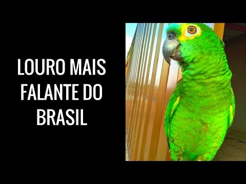 louro gostosão - Cantando Atirei o pau no gato