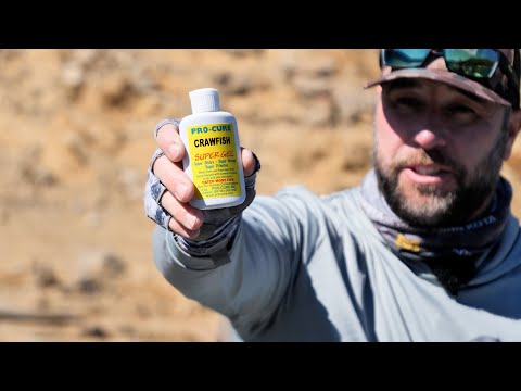 5 Best All Around Scents For Fishing