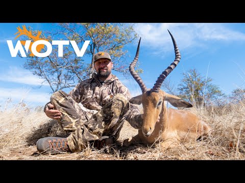 Hunting Impala in Zimbabwe