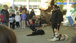 Október a látás hónapja