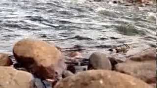 preview picture of video 'Aguas del Río grande Nacaome valle'