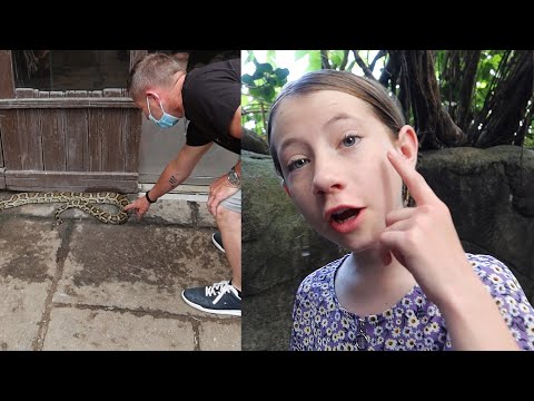 Vi tager i Randers Regnskov