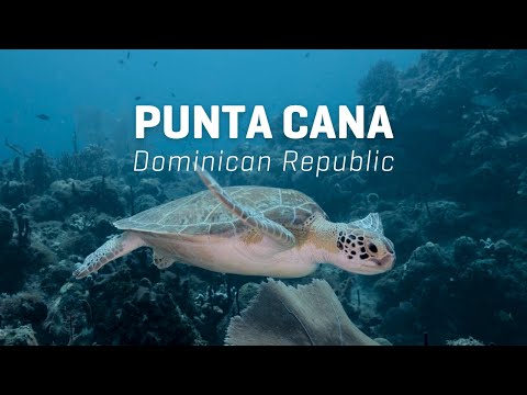 Punta Cana and Bayahibe, Dominican Republic