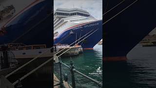 CIRCULAR QUAY WALK #carnival #splendor #cruiseship