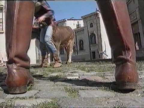 aurelian temisan-o poveste din vest-1991