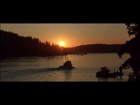 Free Willy The Adventure Home - Orcas