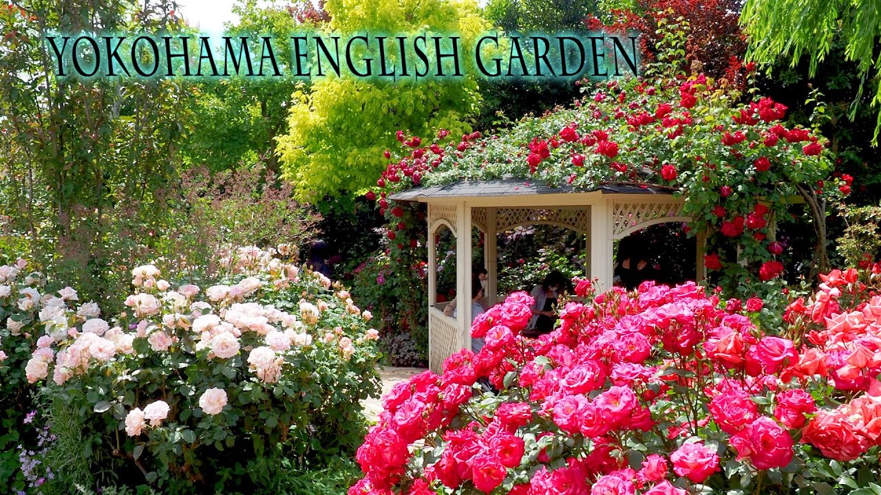 Embark on a captivating walking tour of picturesque English Garden.