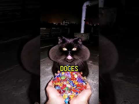 O GATO BIZARRO QUE VOMITA DOCES