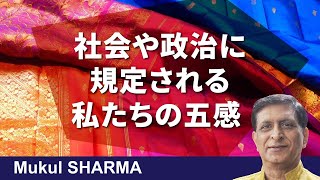 環境正義における感覚の理論（2025年7月23日）