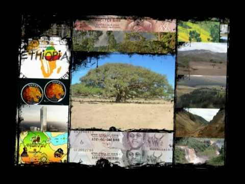 Beenie Man Ft. Bling Dawg & Ermias360 -  Stock & Pile ( Weird Huggin ) - Dj