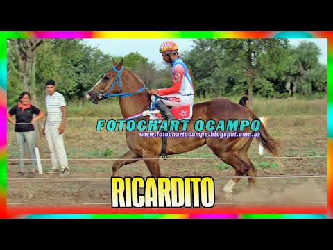 RICARDITO - Corzuela - Chaco 17/03/2024