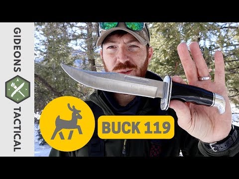 It's Worth A Revisit! Buck 119 Special