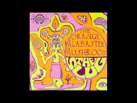 The Orange Alabaster Mushroom _ The Slug