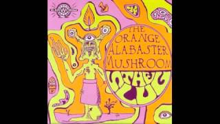 The Orange Alabaster Mushroom _ The Slug