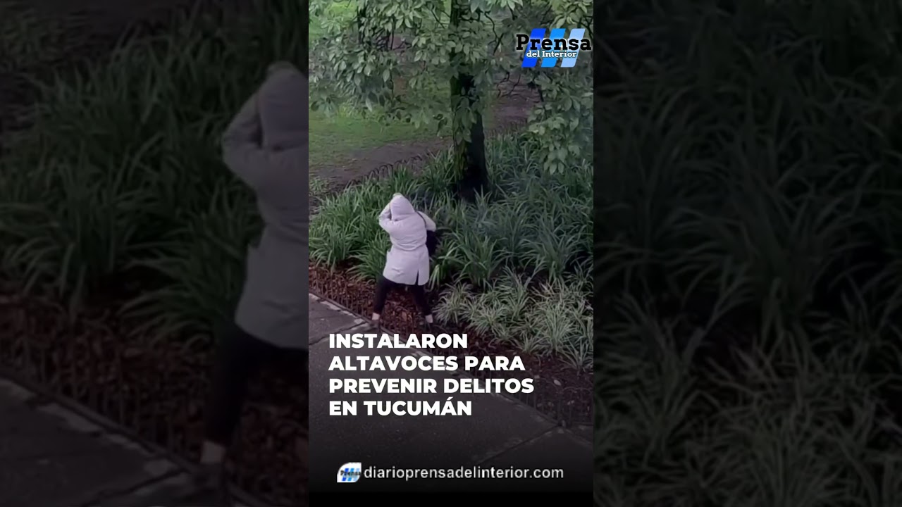 ¡CÁMARAS QUE HABLAN EN TUCUMÁN!