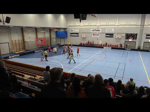 190222 Herrar Div1 VGR Mölndals IBF - IK Zenith 13-6 Per1