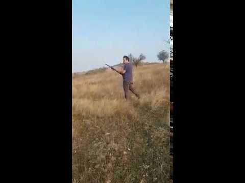 Bıldırıcın Av Videoları 4 Bıldırıcın Av Videoları 4