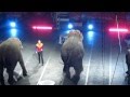 Ringling Brothers Circus 2013