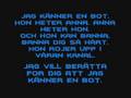 Basshunter - Boten Anna Lyrics Video