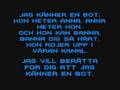 Basshunter - Boten Anna Lyrics Video 