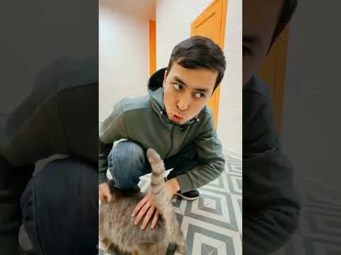 Я кузнец занимаюсь кизлярскими ножами подпишитесь хорошие люди 🫂❤️🤝