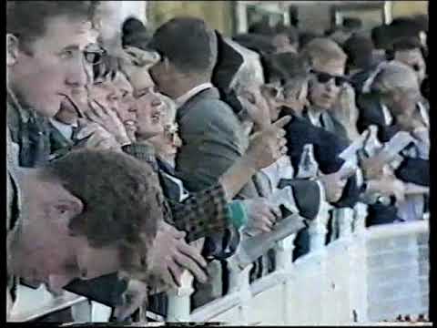 1995 All Aged Stakes