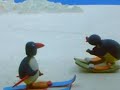 Pingu S01E10 Pingu On Makeshift Skis
