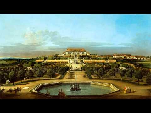 J.S. Bach - Ouverture, Orchestral Suite No.2 in A minor, BWV 1067 (Paul Dombrecht & Il Fondamento)