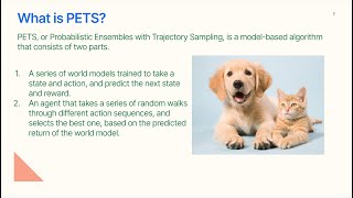 Building PETS from Scratch