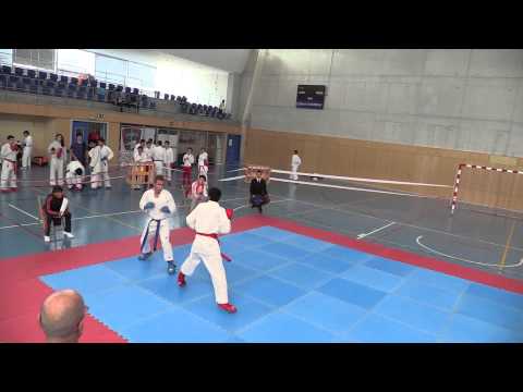 Kumite (7)