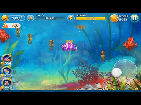 Fantastic Happy Fish Collision Video