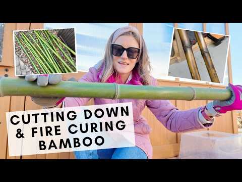 Part of a video titled How to heat cure bamboo to increase its durability in the garden - YouTube