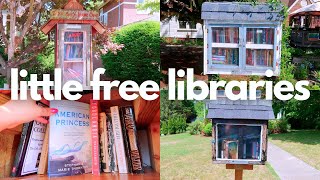 LITTLE FREE LIBRARY VLOG | Hauling + Unhauling books via Little Free Libraries