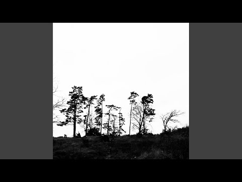 Sunrise (Timboletti Remix)