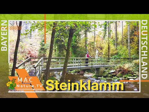 Spiegelau und die Wildromantische Steinklamm - Bayerischer Wald