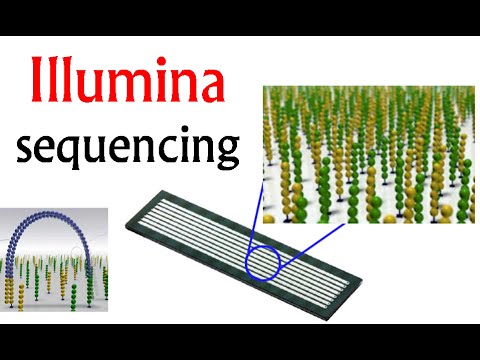 Illumina sequencing | DNA sequencing by synthesis
