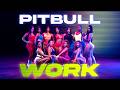 Pitbull Work Visualizer