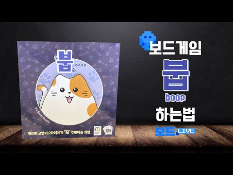 붑 보드게임 하는 법 | Boop Board Game Rules | 3분게임요리