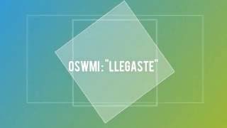Video Llegaste de Oswmi